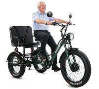 Wasd3Pods Fat-Tire-Dreirad Für Erwachsene Mit Korb - 20-Zoll-Elektro-Dreirad Mit Carbonstahlrahmen - 3-Rädriges Freizeitrad - Elektrisches Lastendreirad Für Senioren Green-withseat