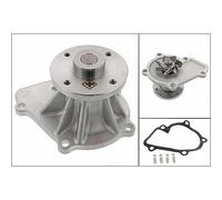 Schaeffler Ina Wasserpumpe [Hersteller-Nr. 538050910] für Ford, Nissan