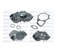 Wasserpumpe DOLZ M683