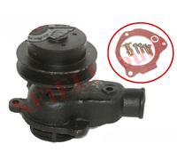 Wasserpumpe Einbau Für Jeeps Willys MB Ford Gpw CJ2A 3A 3B CJ5 4 Zylinder 41-71