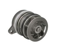 Wasserpumpe INA 538 0338 10