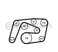 CONTITECH 6PK2260WP2 Wasserpumpe + Keilrippenriemensatz