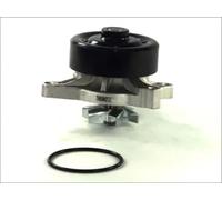 Wasserpumpe THERMOTEC D12078TT