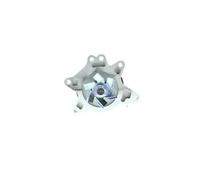 Wasserpumpe AISIN WPT-106V