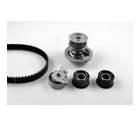 Wasserpumpe + Zahnriemensatz HEPU PK03163