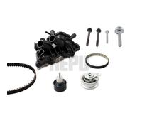 Wasserpumpe + Zahnriemensatz HEPU PK06871