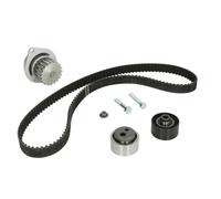 INA | Wasserpumpe + Zahnriemensatz | 530 0119 30