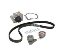 Wasserpumpe + Zahnriemensatz Schaeffler INA 530 0063 30