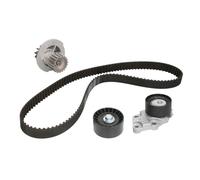 Wasserpumpe + Zahnriemensatz Schaeffler INA 530 0332 30