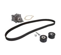 Wasserpumpe + Zahnriemensatz Schaeffler INA 530 0368 30