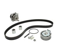 Wasserpumpe + Zahnriemensatz Schaeffler INA 530 0445 32