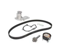 Wasserpumpe + Zahnriemensatz Schaeffler INA 530 0605 30