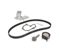 Wasserpumpe + Zahnriemensatz Schaeffler INA 530 0605 30