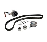 INA | Wasserpumpe + Zahnriemensatz | 530 0650 30
