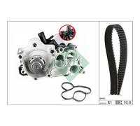Wasserpumpe + Zahnriemensatz Schaeffler INA 530 0743 30