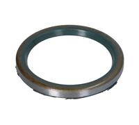 Wellendichtring, Bremsnockenwelle AUGER 54871