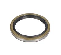 Wellendichtring, Bremsnockenwelle DT Spare Parts 2.40211