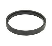 Wellendichtring, Einspritzpumpe DT Spare Parts 4.20216