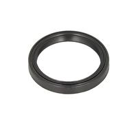 Corteco Simmerring Wellendichtring Radnabe passend für LT | 12013929B