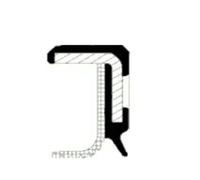 Wellendichtung Einspritzpumpe PTFE (Polytetrafluorethylen) 20029770B CORTECO