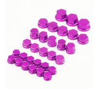 WENINETIES 30Pcs Motorrad Modifikation Schrauben Kappe Dekoration für BMW R1250GS R1200GS Adventure R 1250 GSA F800GS F750GS F650GS F850GS G310GS G310R, Tuning Zierkappen zur Korrosionsschutz,Purple