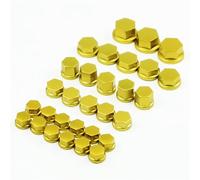 WENINETIES 30Pcs Motorrad Modifikation Schrauben Kappe Dekoration für BMW R1250GS R1200GS Adventure R 1250 GSA F800GS F750GS F650GS F850GS G310GS G310R, Tuning Zierkappen zur Korrosionsschutz,Gold