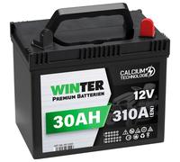WINTER Premium Rasentraktor Batterie 30Ah 12V