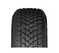 GT-Radial Winterpro 2 XL M+S 3PMSF 195/55 R16 91H Winterreifen