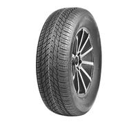 APlus A701 205/55 R16 91H PKW Winterreifen Reifen 2AP2160H1