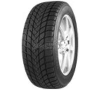 MASTERSTEEL WINTERPLUS 1 IS-W 205/55R17 95H