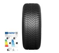 Dunlop Winter ( 205/60 R16 96H XL EVR )