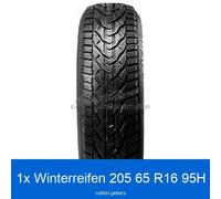 Winterreifen 205/65 R16 95H Riken Snow 3PMSF | 22314