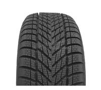 Dunlop Winter ( 215/50 R17 95V XL BLK )