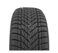Winter 3PMSF EVc MFS XL 225/55 R16 99V Dunlop Winter-Reifen | 255073