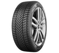 Dunlop Winter 225/55 R17 101 V EV XL