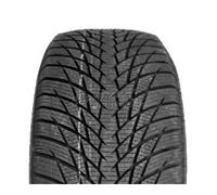 Greentrac Winter Master D1 245/45 R18 100 V, Winterreifen