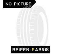 Winterreifen DOUBLESTAR DW16 KING 205/55 R17 95 T