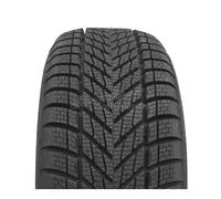 Dunlop Winter ( 205/50 R17 93V XL EVR )