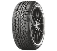 Winterreifen EVERGREEN EW62 195/65 R15 91 T