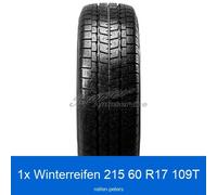Winterreifen Falken EuroWinter Van-01 3PMSF 215/60 R17 109T | 16607