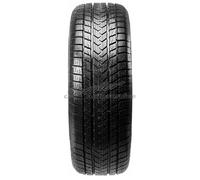 Gripmax Pro Winter 285/40R22 110 V XL