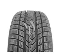 Winterreifen GRIPMAX PRO (STATUS UND SUREGRIP) 295/30 R21 102 V