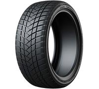 WinterPro2 Sport 215/65 R17 99V