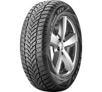 Winterreifen MAXXIS "WINTERMAXX MA-SW XL", schwarz, 255mm / 60 % R 17 110V, Autoreifen (68894946-0) schwarz , EEK:Kraftstoffeffizienz: D, Nasshaftung: E, Rollgeraeusch: B 72 dB