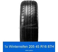 Winterreifen Minerva S-210 3PMSF XL 205/45 R16 87H | 49312