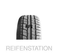 Winterreifen NANKANG SV55 225/55 R19 99V