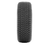 Winterreifen Radar 205/50 R17 93V DIMAX WINTER XL M+S