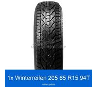 Winterreifen Riken Snow 3PMSF 205/65 R15 94T | 7973