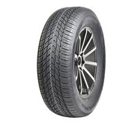 Royal Black Royal Winter HP 185/65 R15 88 H