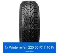 Winterreifen Taurus Winter 3PMSF XL 225/55 R17 101V | 14541